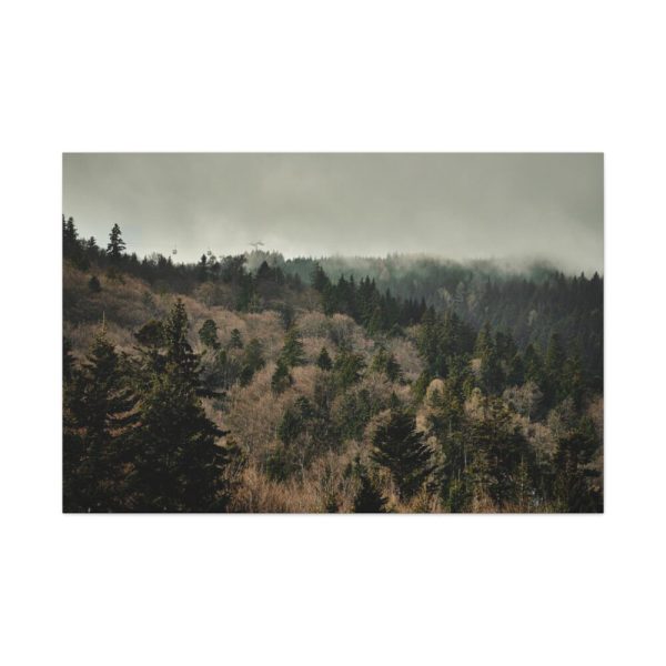 91638-676.jpg Forest Nature Standard Canvas