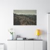 91638-677.jpg Forest Nature Standard Canvas