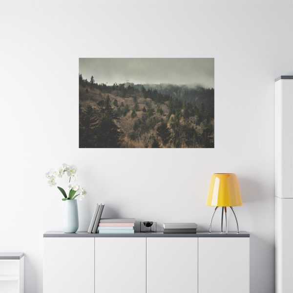91638-677.jpg Forest Nature Standard Canvas