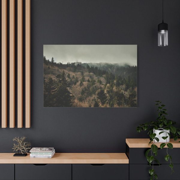 91638-678.jpg Forest Nature Standard Canvas