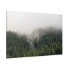 91638-680.jpg Forest in Fog Standard Canvas