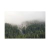 91638-681.jpg Forest in Fog Standard Canvas