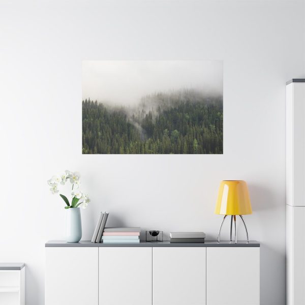 91638-682.jpg Forest in Fog Standard Canvas
