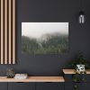 91638-683.jpg Forest in Fog Standard Canvas