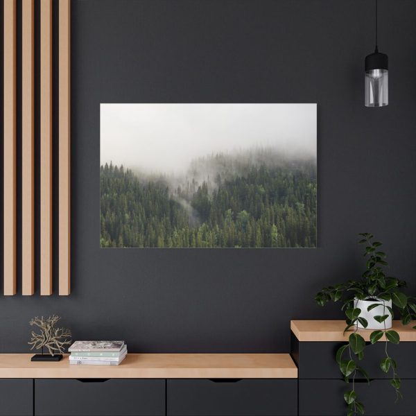 91638-683.jpg Forest in Fog Standard Canvas