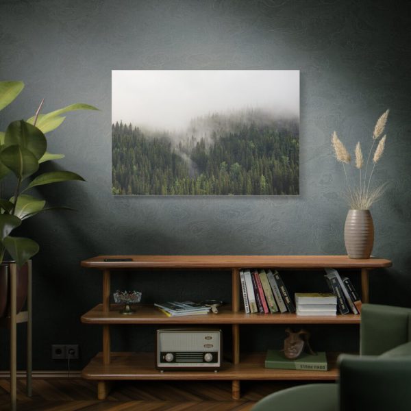 91638-684.jpg Forest in Fog Standard Canvas