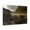 91638-685.jpg Creek River in the Forest Standard Canvas