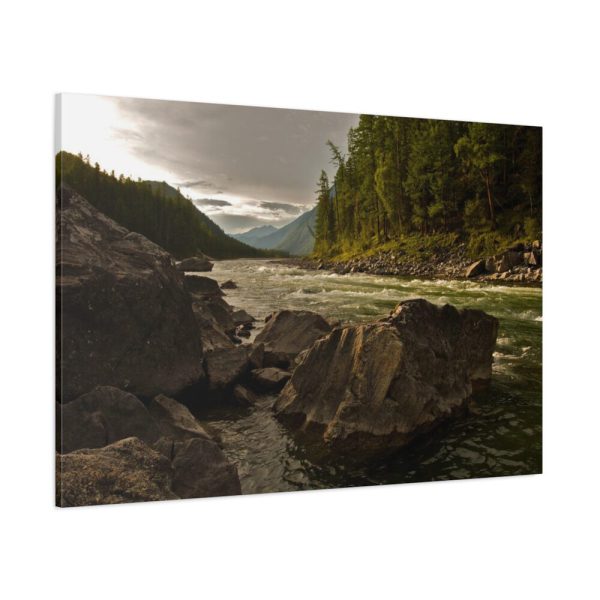 91638-685.jpg Creek River in the Forest Standard Canvas
