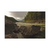 91638-686.jpg Creek River in the Forest Standard Canvas