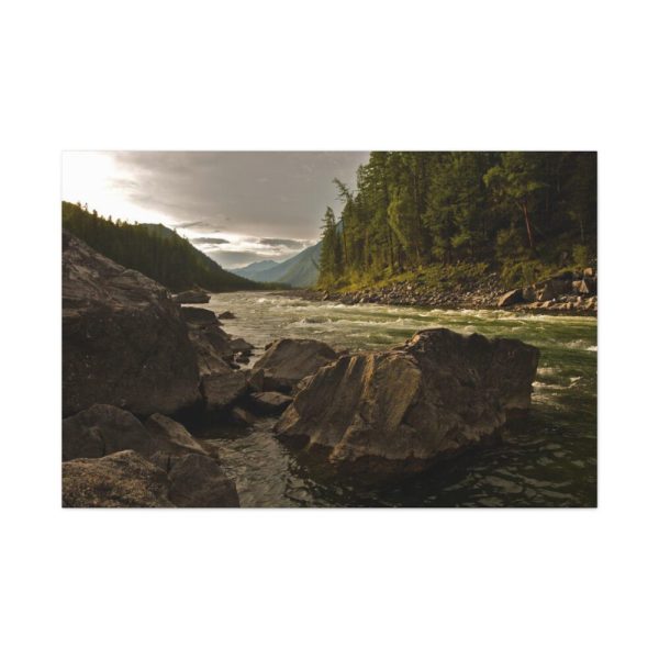 91638-686.jpg Creek River in the Forest Standard Canvas