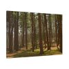 91638-750.jpg Leominster State Forest Standard Canvas