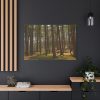 91638-753.jpg Leominster State Forest Standard Canvas