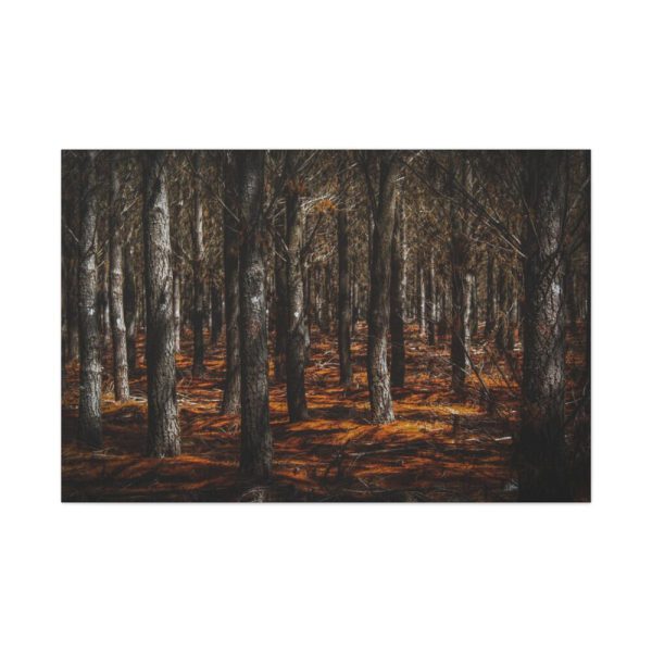 91638-755.jpg Dark Overgrown Forest Standard Canvas