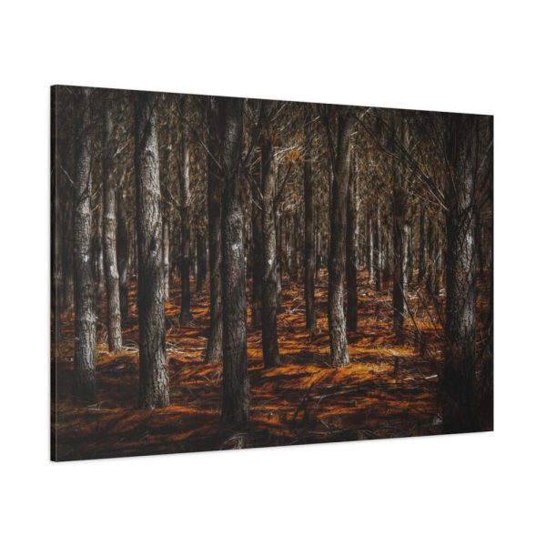 91638-756.jpg Dark Overgrown Forest Standard Canvas