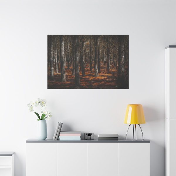 91638-757.jpg Dark Overgrown Forest Standard Canvas