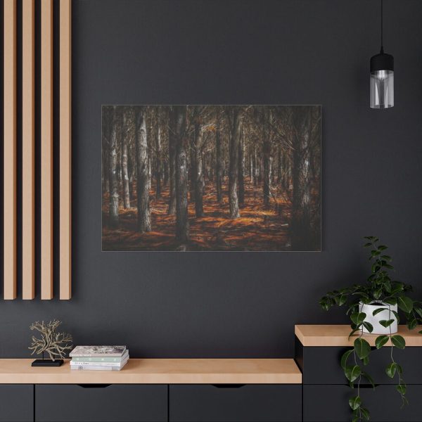 91638-758.jpg Dark Overgrown Forest Standard Canvas