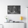 91638-767.jpg A Path Through the Forest Standard Canvas