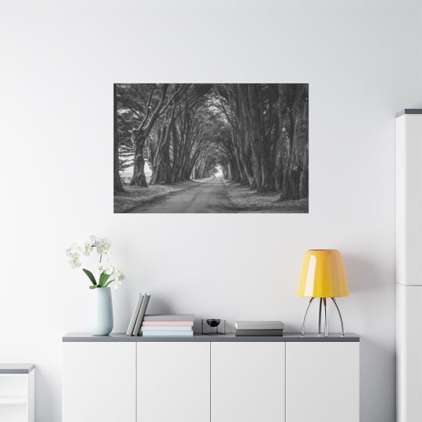 91638-767.jpg A Path Through the Forest Standard Canvas