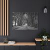 91638-768.jpg A Path Through the Forest Standard Canvas