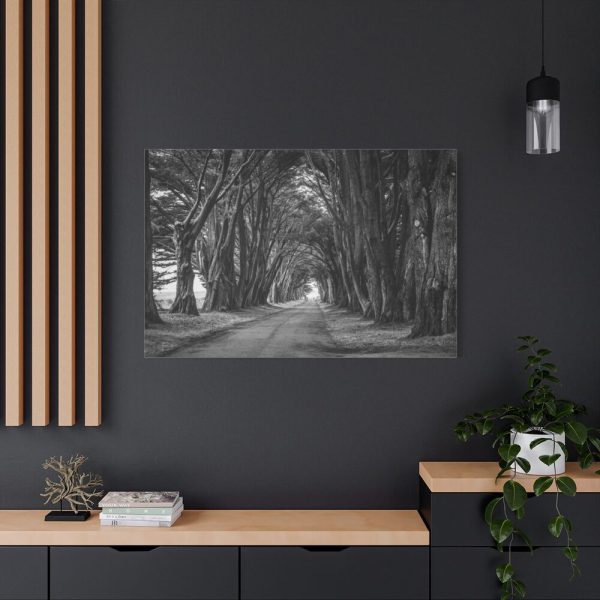 91638-768.jpg A Path Through the Forest Standard Canvas