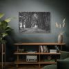 91638-769.jpg A Path Through the Forest Standard Canvas