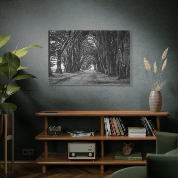 91638-769.jpg A Path Through the Forest Standard Canvas