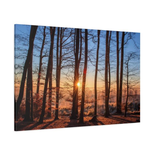 91638-770.jpg Forest Landscape with Sun and Trees Standard Canvas
