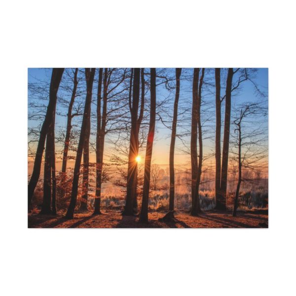 91638-771.jpg Forest Landscape with Sun and Trees Standard Canvas