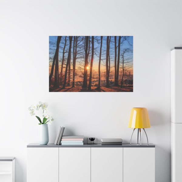 91638-772.jpg Forest Landscape with Sun and Trees Standard Canvas