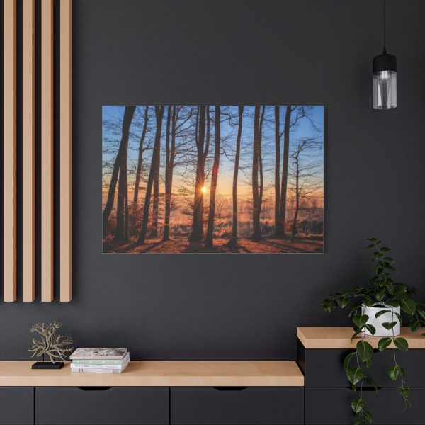 91638-773.jpg Forest Landscape with Sun and Trees Standard Canvas