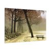 91638-780.jpg Cold Frost Season in Nature Standard Canvas