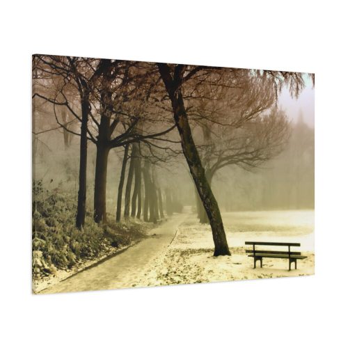 Cold Frost Season in Nature Standard Canvas