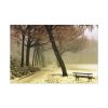 91638-781.jpg Cold Frost Season in Nature Standard Canvas