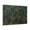 91638-785.jpg Forest on Mount Saint Helens Standard Canvas