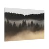 Trees and Forest in the Fog Standard Canvas