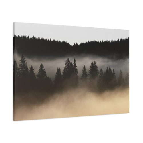 Trees and Forest in the Fog Standard Canvas