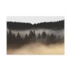 Trees and Forest in the Fog Standard Canvas