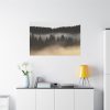 Trees and Forest in the Fog Standard Canvas