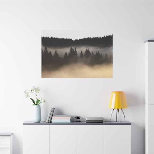 Trees and Forest in the Fog Standard Canvas