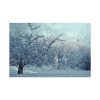 91638-796.jpg Forest Covered with Snow Standard Canvas