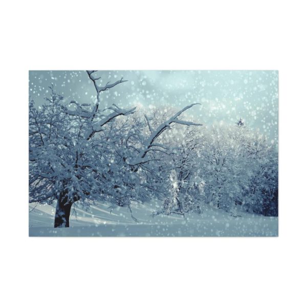 91638-796.jpg Forest Covered with Snow Standard Canvas