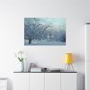 91638-797.jpg Forest Covered with Snow Standard Canvas