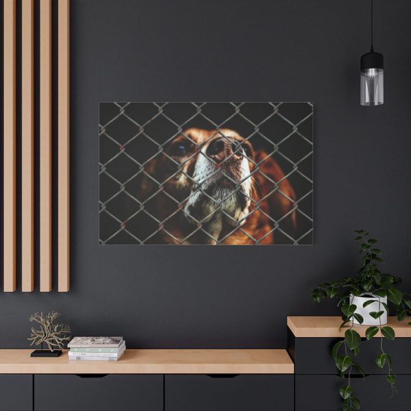 91638-8.jpg Dog Behind Wire Fence Standard Canvas