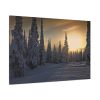91638-800.jpg Dawn and Winter in the Forest Standard Canvas