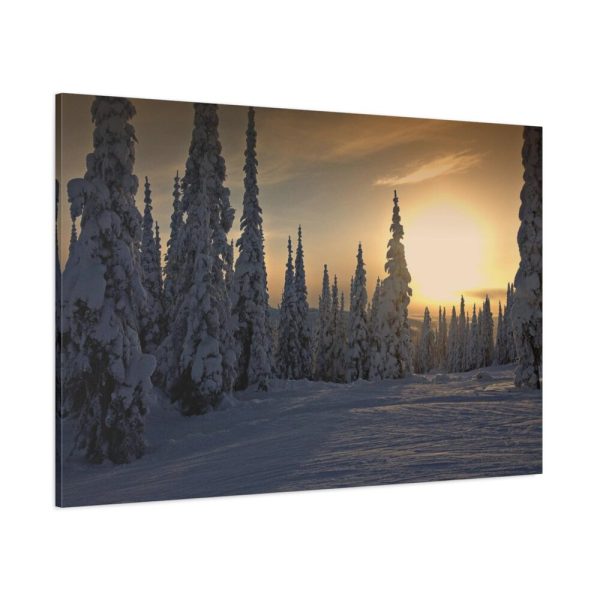 91638-800.jpg Dawn and Winter in the Forest Standard Canvas