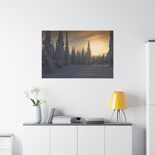 91638-802.jpg Dawn and Winter in the Forest Standard Canvas