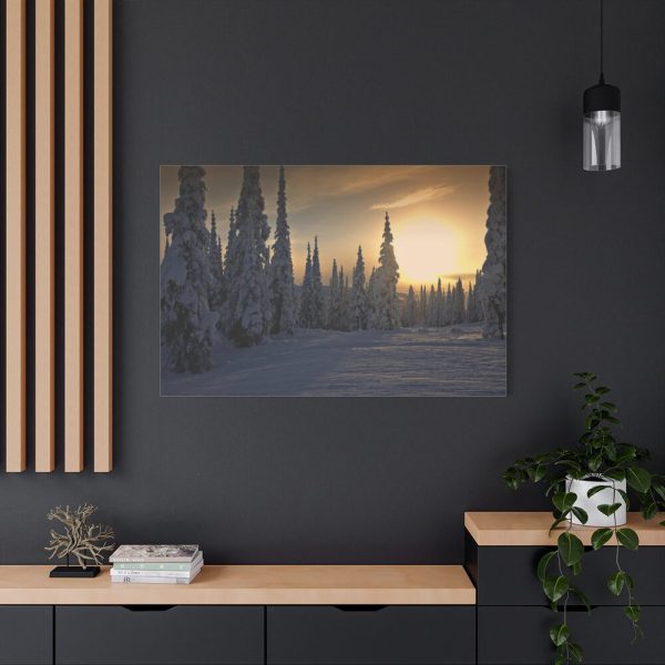 91638-803.jpg Dawn and Winter in the Forest Standard Canvas