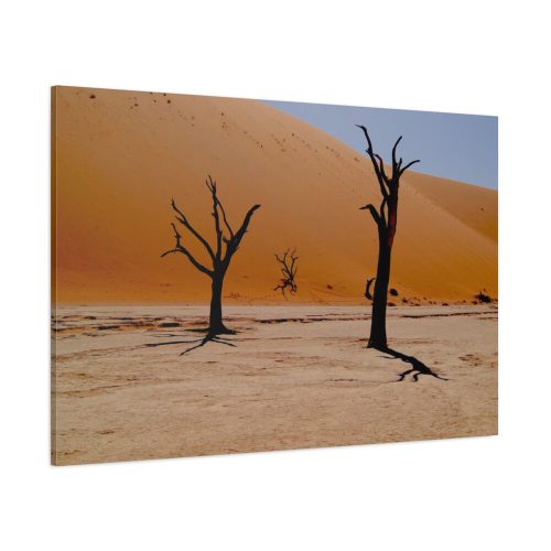 Desolate Trees in the Sandy Desert of Deadvlei Hiking Trail Standard Canvas