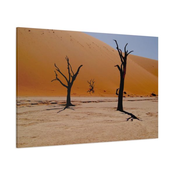 91638-820.jpg Desolate Trees in the Sandy Desert of Deadvlei Hiking Trail Standard Canvas
