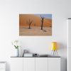 91638-822.jpg Desolate Trees in the Sandy Desert of Deadvlei Hiking Trail Standard Canvas